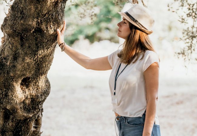 The Olive Routes