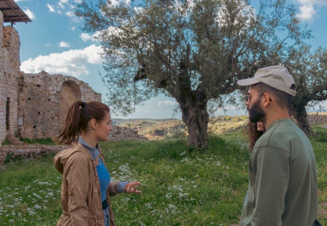 The Olive Routes