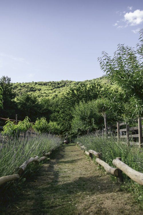 Karaiskos Farm Peliongastronomy Portaria (19)
