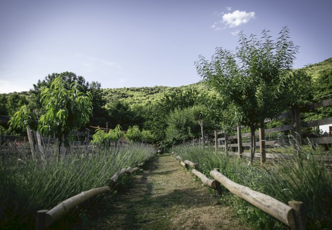 Karaiskos Farm