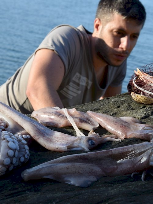 tinos fish