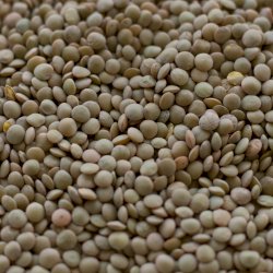 World Pulses Day