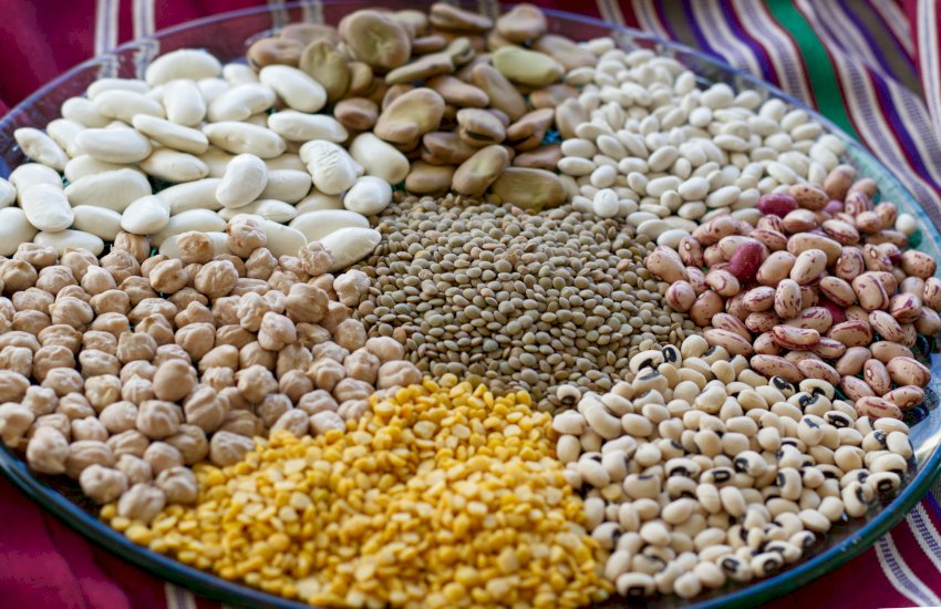 World Pulses Day