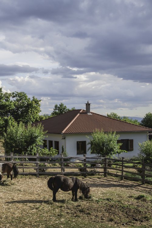 Karaiskos Farm Peliongastronomy Portaria (20)