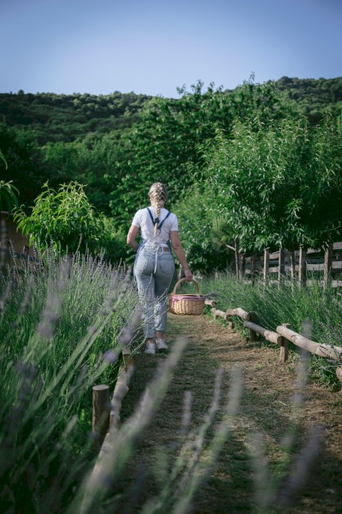 Karaiskos Farm Peliongastronomy Portaria (21)