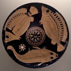 Ancient Greeks' meals