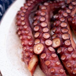 Octopus