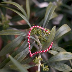 Martaki, the March bracelet