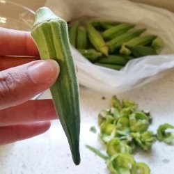 Okra in the oven - Bamies sto fourno