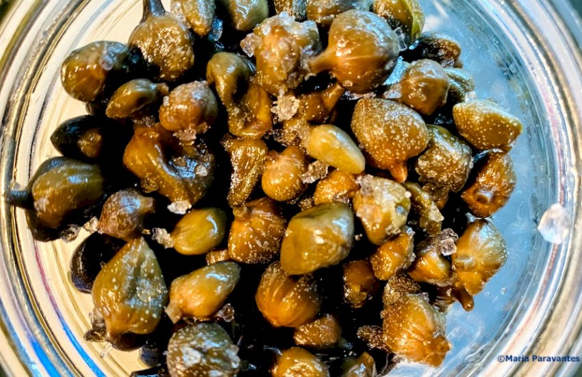 The Greek Caper: A Culinary Marvel