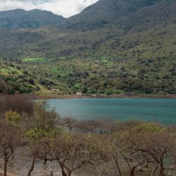 Lake Kournas - Exploring Crete’s largest natural fresh water lake