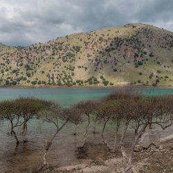 Lake Kournas - Exploring Crete’s largest natural fresh water lake