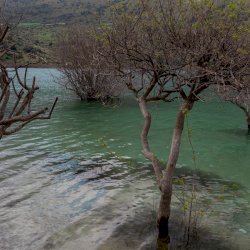 Lake Kournas - Exploring Crete’s largest natural fresh water lake