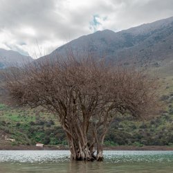 Lake Kournas - Exploring Crete’s largest natural fresh water lake