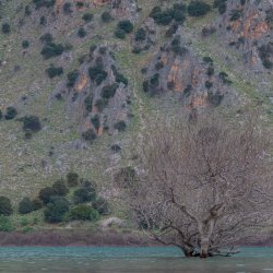Lake Kournas - Exploring Crete’s largest natural fresh water lake