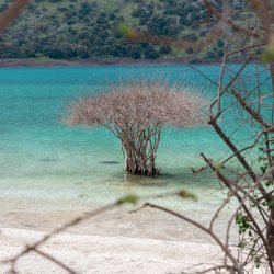 Lake Kournas - Exploring Crete’s largest natural fresh water lake