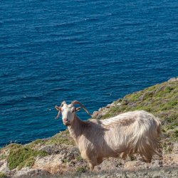 Oinousses - A hidden gem of the North Aegean