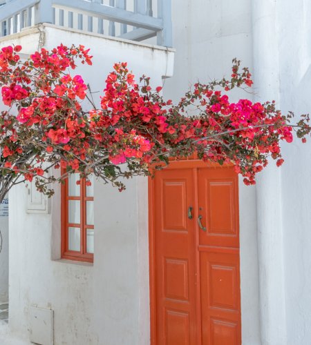 Mykonos