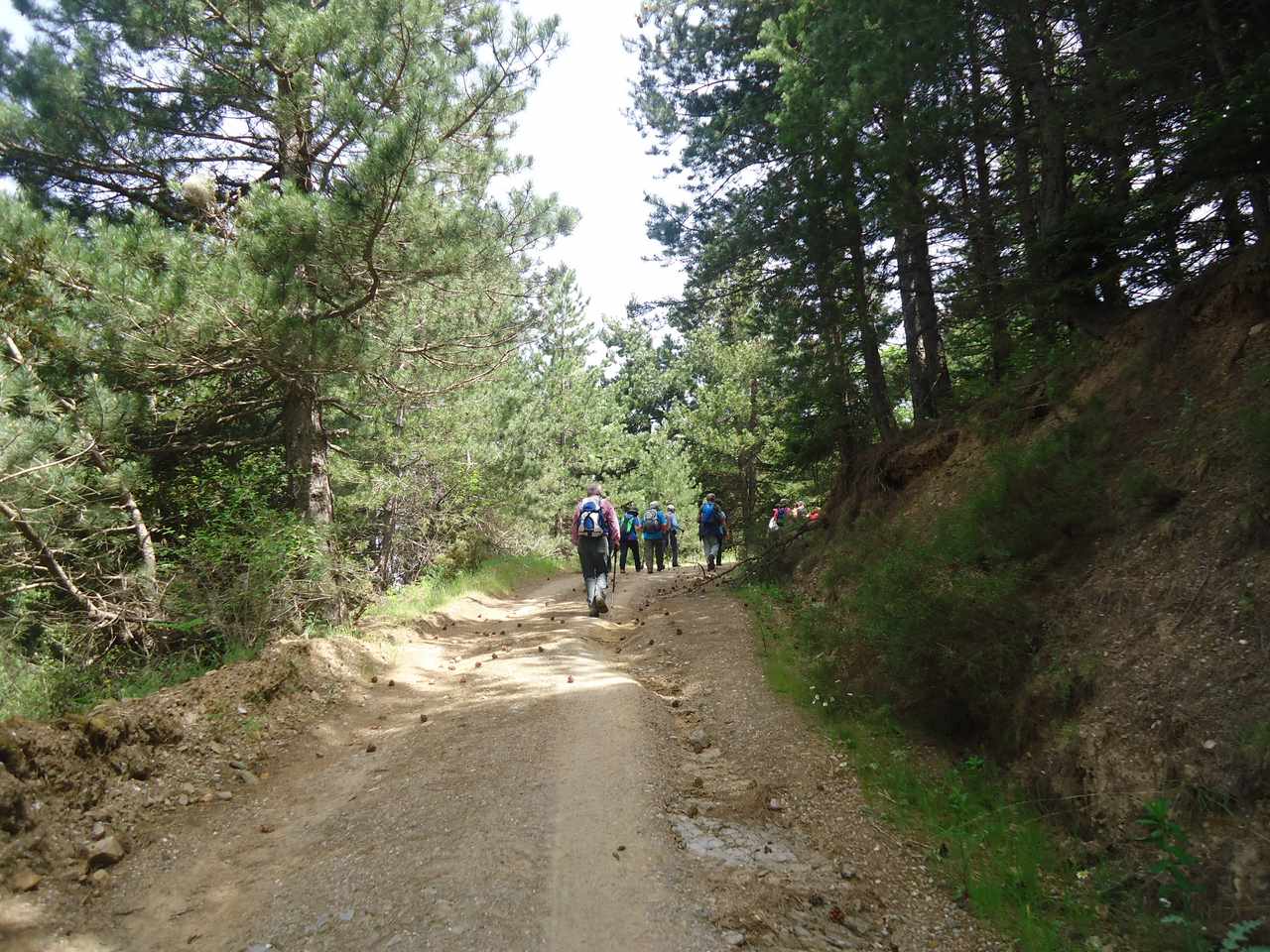 agios petros 1