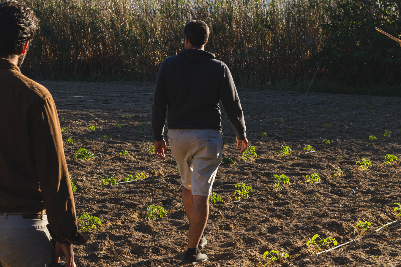 Tinos Farm to Table