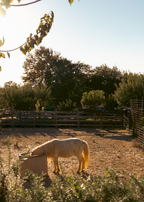 Karaiskos Farm