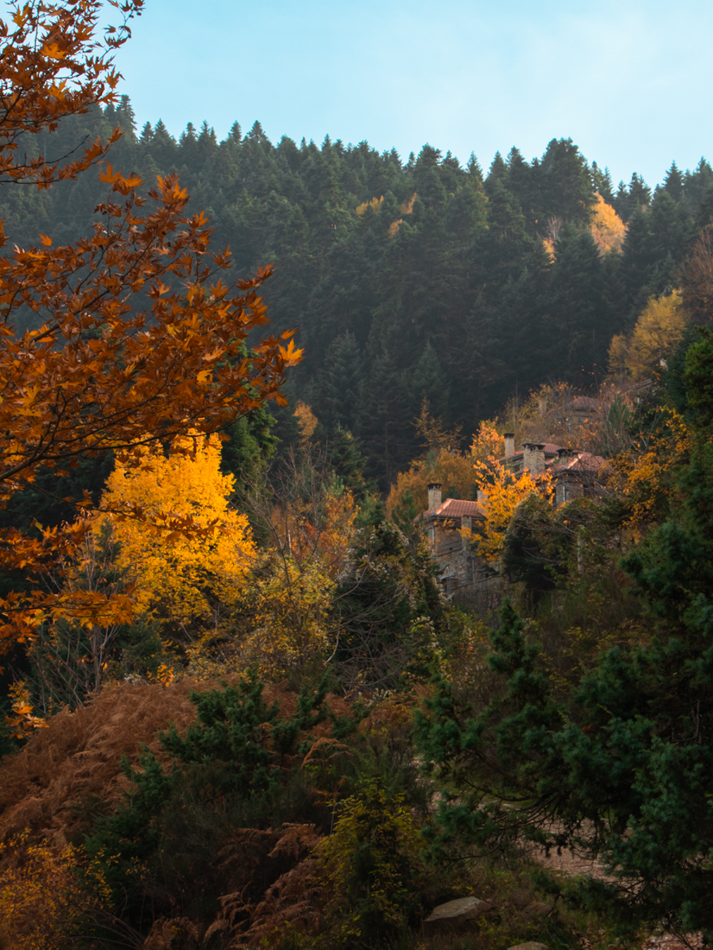 Montanema Handmade Village
