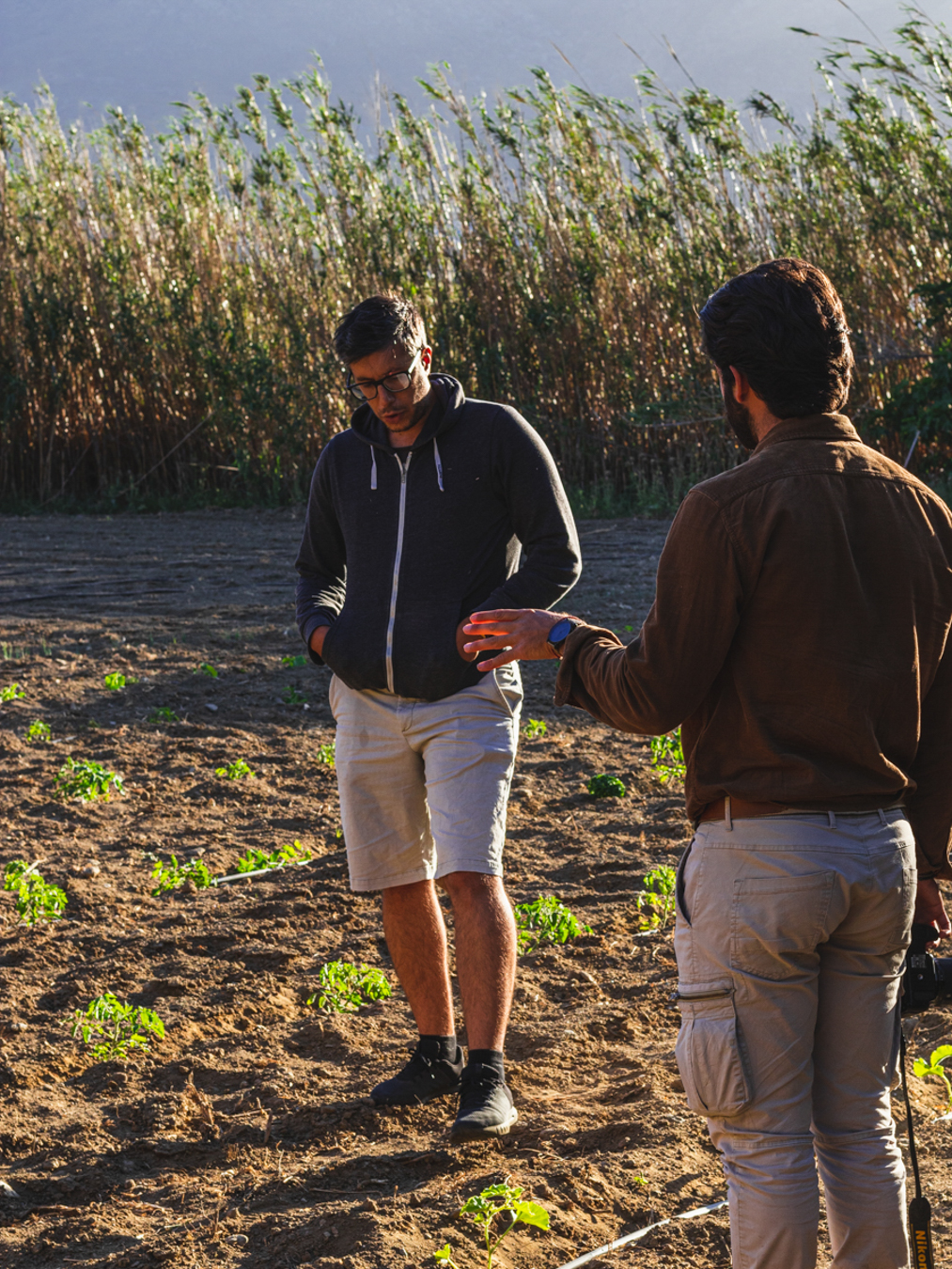 Tinos Farm to Table