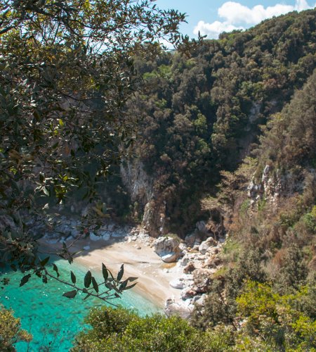 Pelion, Thessaly