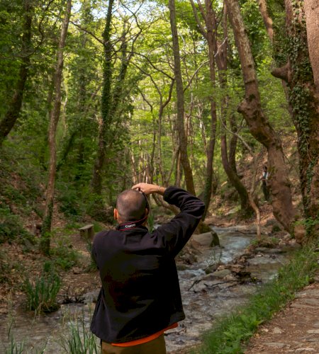 Pelion, Thessaly