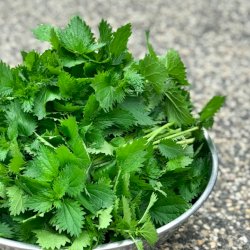 Tsouknidopita – Greek Stinging Nettle Fillo Pie