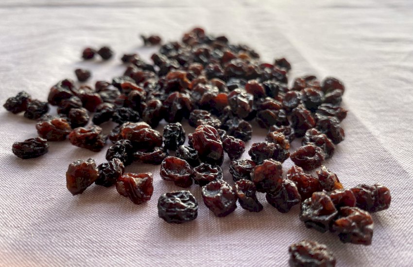 Meet A World Famous Greek Raisin